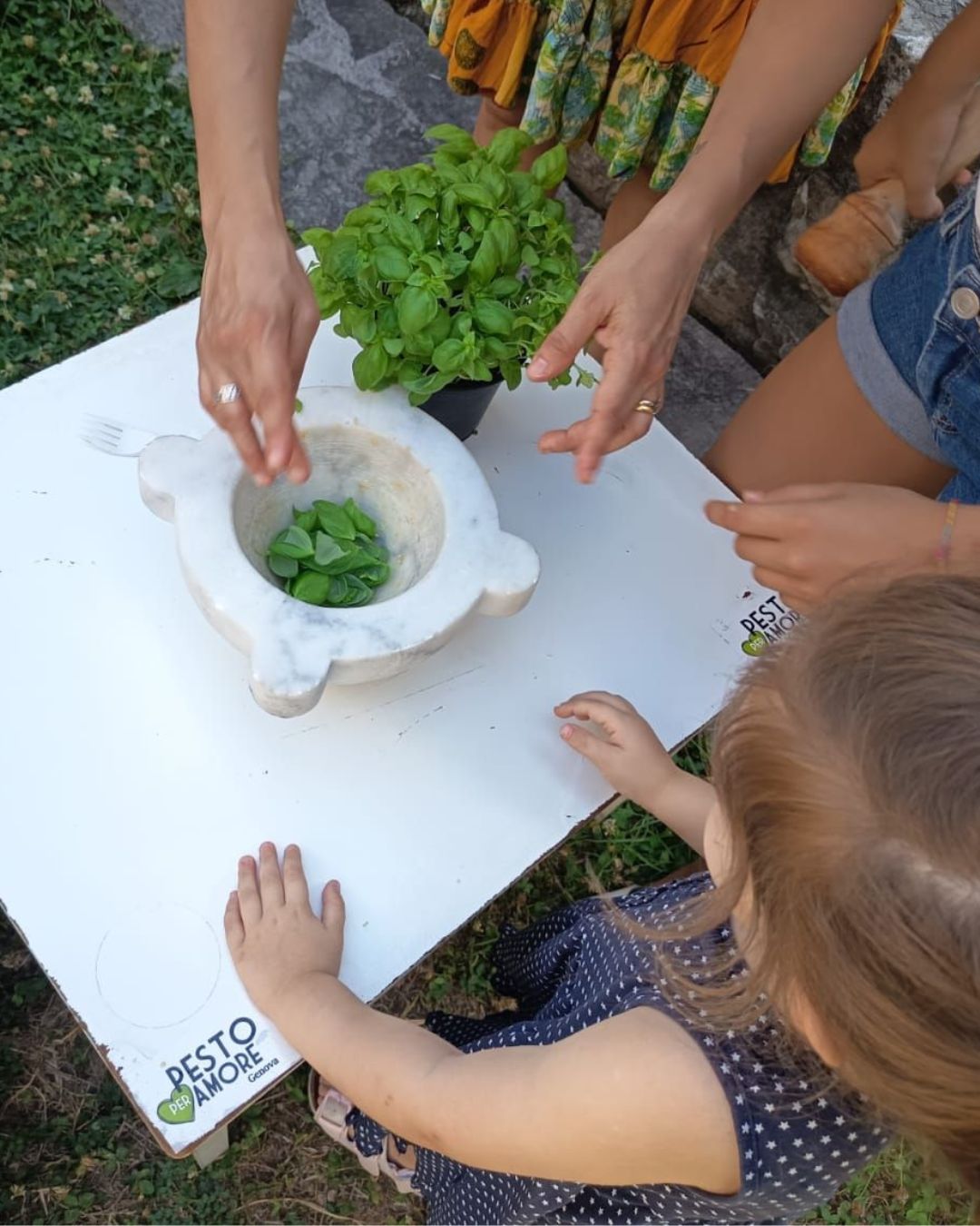 Pesta, scopri, assaggia